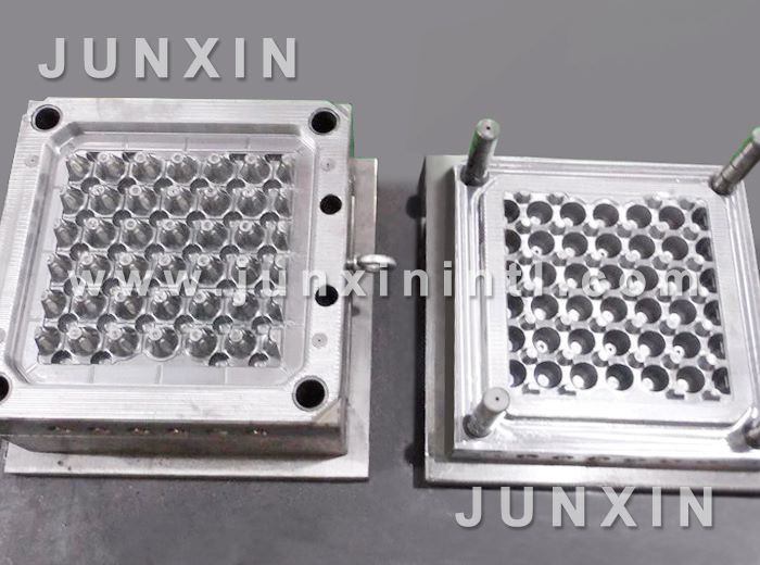 plastic egg tray mould
