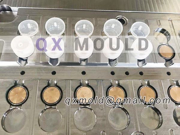 flip top cap mold